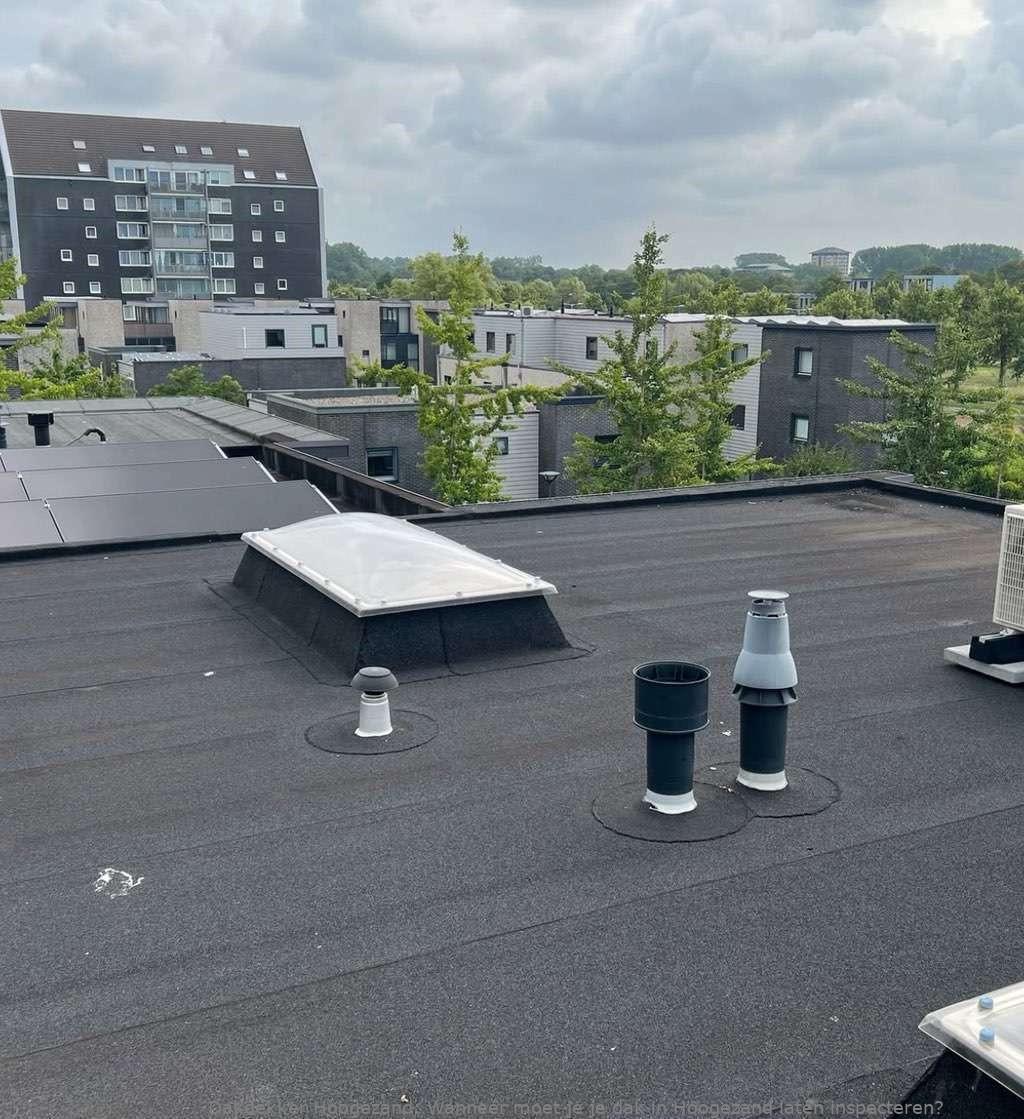 Dak Laten Inspecteren Hoogezand