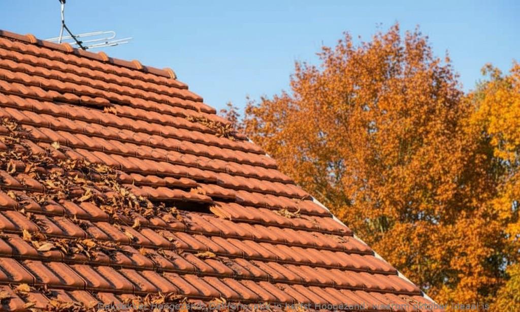 Dakrenovatie In Herfst Hoogezand