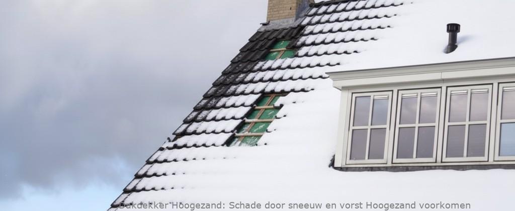 Schade Door Sneeuw En Vorst Hoogezand