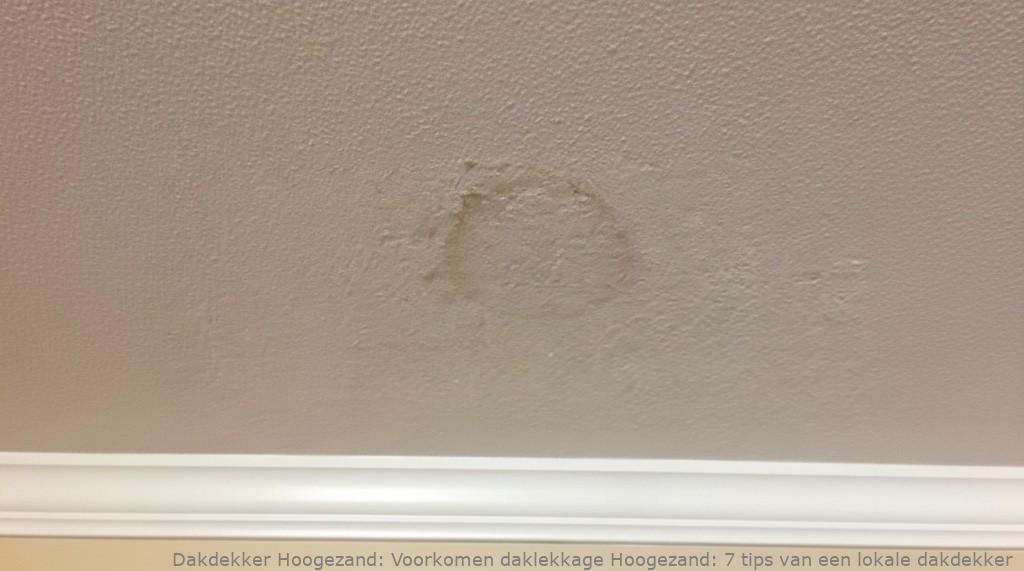 Voorkomen Daklekkage Hoogezand